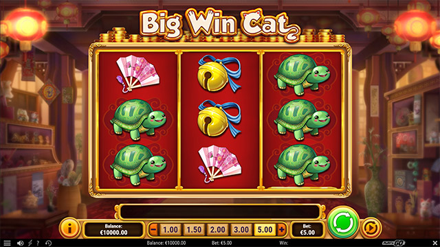 Big Win Cat