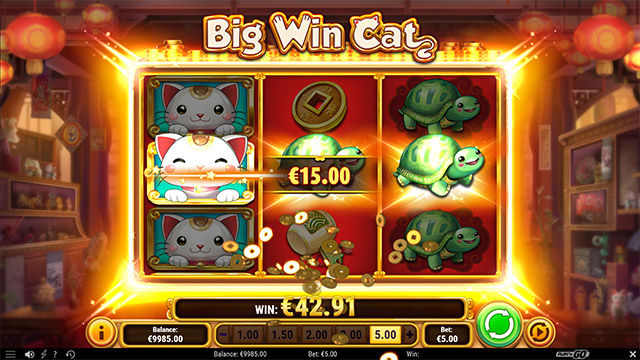 Big Win Cat