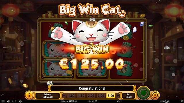 Big Win Cat