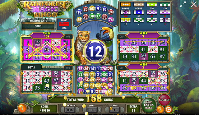 Rainforest Magic Bingo