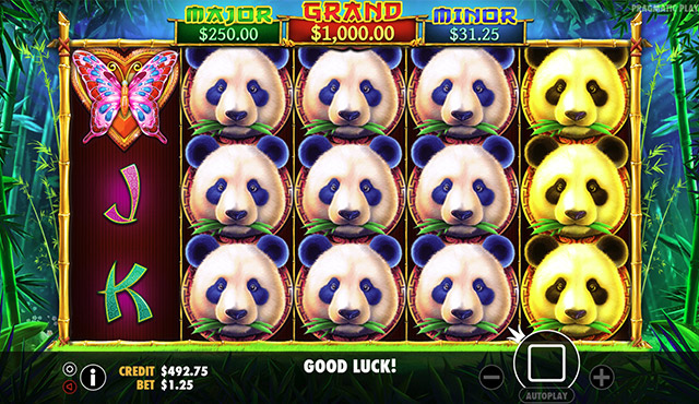 Panda's Fortune