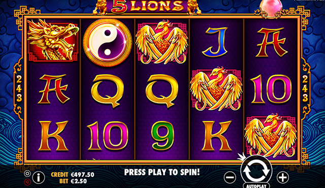 5 Lions