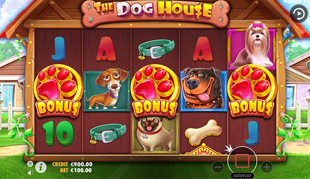 The Dog House