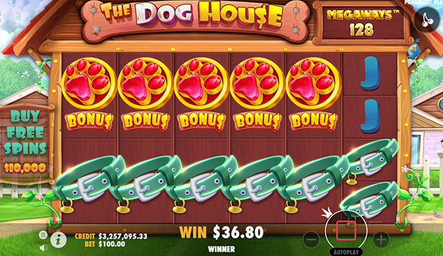 The Dog House Megaways