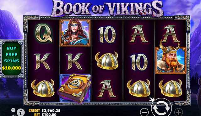 Book of Vikings