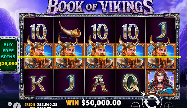 Book of Vikings